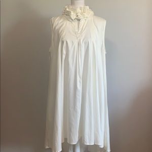 Ruffle neck oversized dress